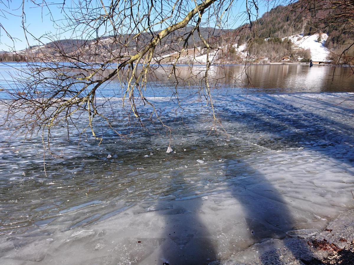 Haus-Brecherspitzblick Schliersee Buitenkant foto